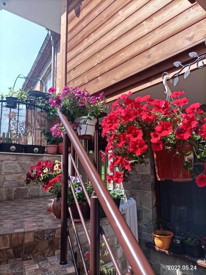 Hotel Damaris à Sozopol Extérieur photo