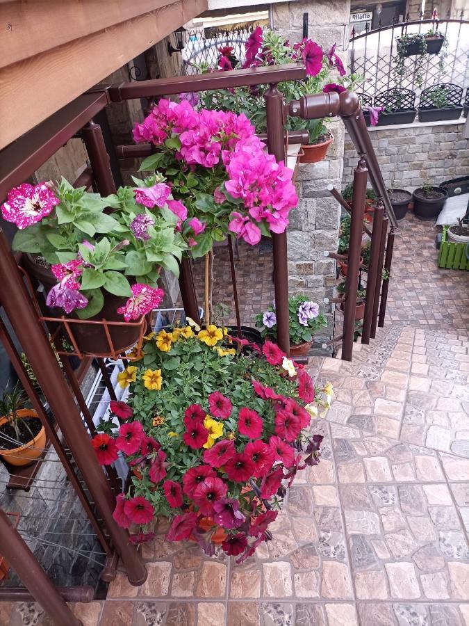 Hotel Damaris à Sozopol Extérieur photo